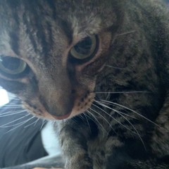 Dustin Maceikis/DJ UNCIRK