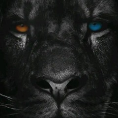 Blackspartan600