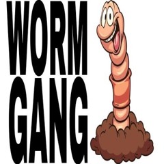 WORMGANG