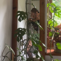kayholl🧚‍♀️🪬