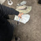 Bgm $plash
