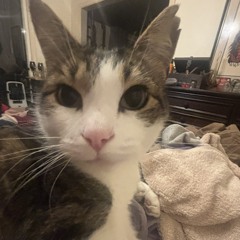 ❤️Conner❤️