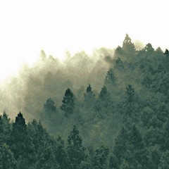 ForestVoice