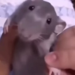 あきしょう
