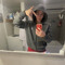 liljeff11