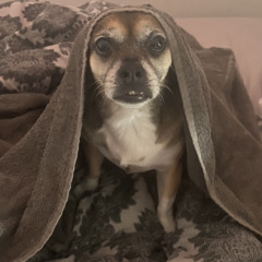 danny 🧑🏽‍🦽‍➡️