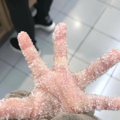 Lee