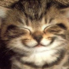 meowmint