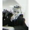 Jay crossan