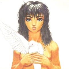 dina2fly
