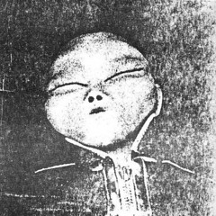 Vaals(ヴァールズ)図