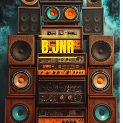 B.jNR