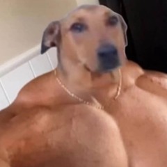 Scoobmeister