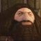 Hagrid the Oaf