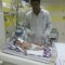 Drmohamed Wadoud