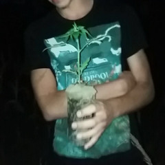 Boyda_