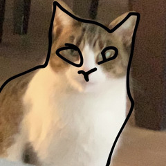 Jor