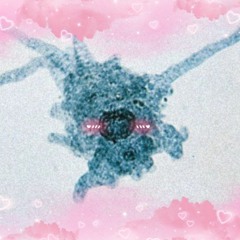 _amoeba_