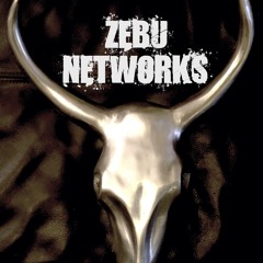 ZEBU DIGITALWORKS