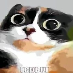 стевия⚡⚡⚡