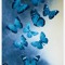 xoxo butterfly