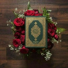 Rama Jamal Eddin