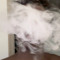 0t7sosa