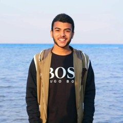 Abdelrahman Elsheshai