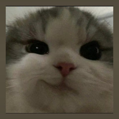 im Sisi