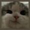 im Sisi