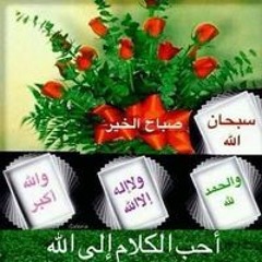 M Mahmoud Saleh
