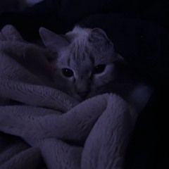 abbey
