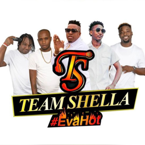 TEAM SHELLA -COGNAC NEW YORK THE ULTIMATE DAY RAVE