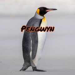 Pengwyn