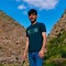 علیرضا روشن