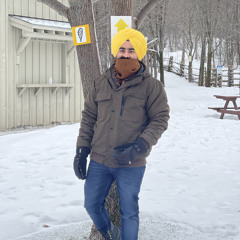 bhupinder