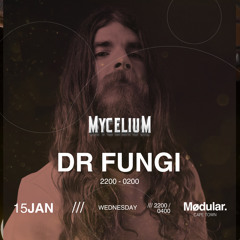 Dr Fungi