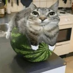 Watermelon_Car