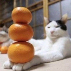 classical music that goes hard