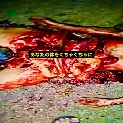血肉血脈