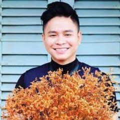 HOANG SON TRAN