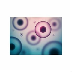 OrenZariftreatmentforlive