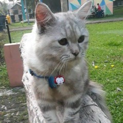 KEYY
