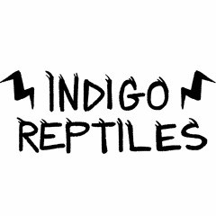 Indigo Reptiles