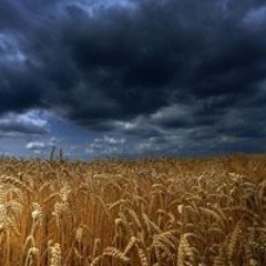П'янківська Маріна