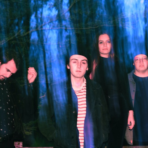 Stream Animal Boy music Listen to songs, albums, playlists for free