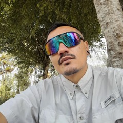 Andres Palomino