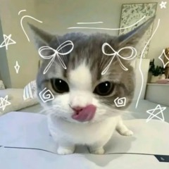 nisaa
