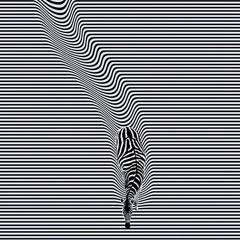 Hydropønic ♟