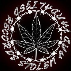 STOLEN AND VANDALIZED